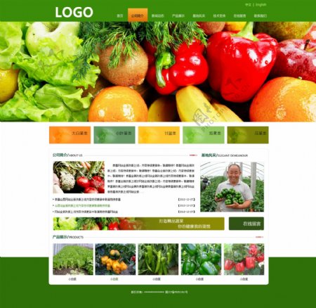 绿色农业网页设计PSD源文件