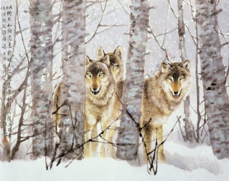 三匹狼图片