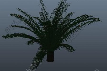 3D效果图植物素材