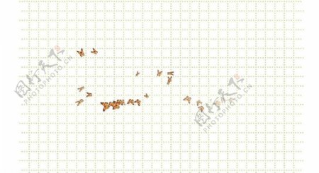 动态蝴蝶鼠标图片