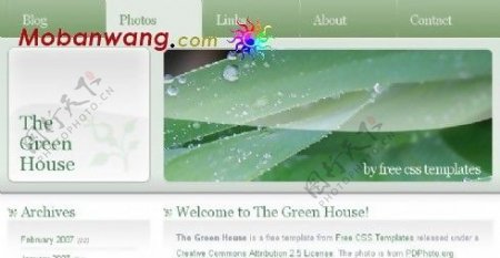 绿叶主题BLOG网页模板