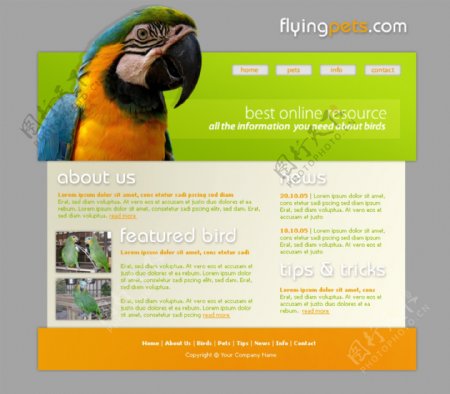 飞行宠物网页模板