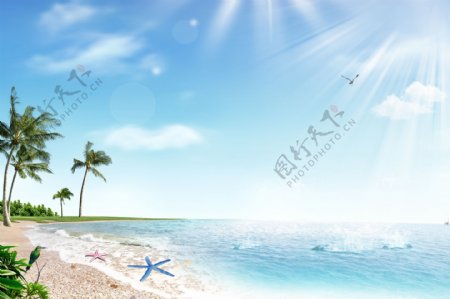 大海沙滩夏季海报图片