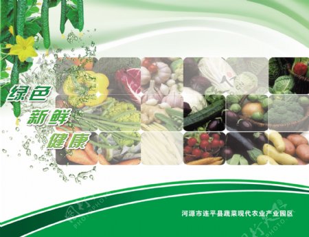 蔬菜基地蔬菜海报图片