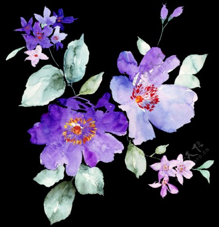 紫色手绘花卉