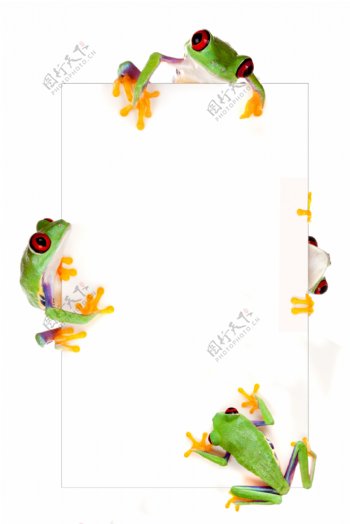 广告牌上的青蛙图片