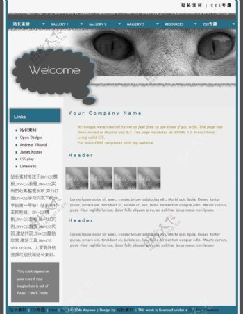 艺术猫眼cssdiv网页