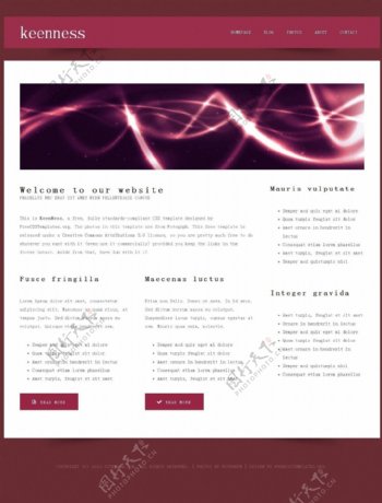 紫红幻光信息网页模板