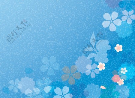 蓝色背景里的樱花
