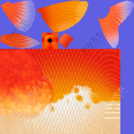 3D金鱼模型