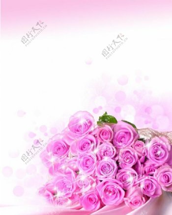 粉色玫瑰花浪漫背景图片