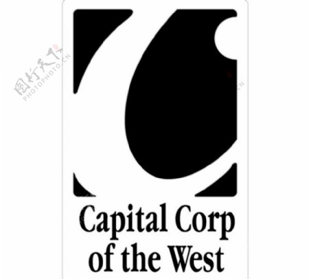 CapitalCorplogo设计欣赏IT高科技公司标志CapitalCorp下载标志设计欣赏