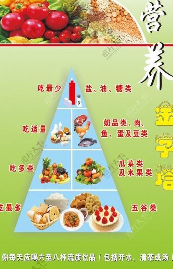 营养金字塔图片