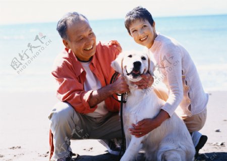 老人海滩与狗玩耍图片