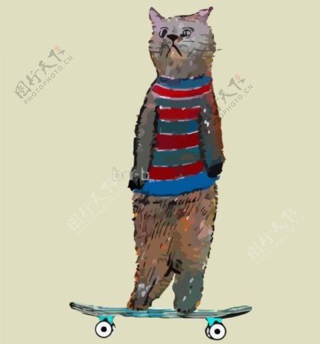 滑板猫图片