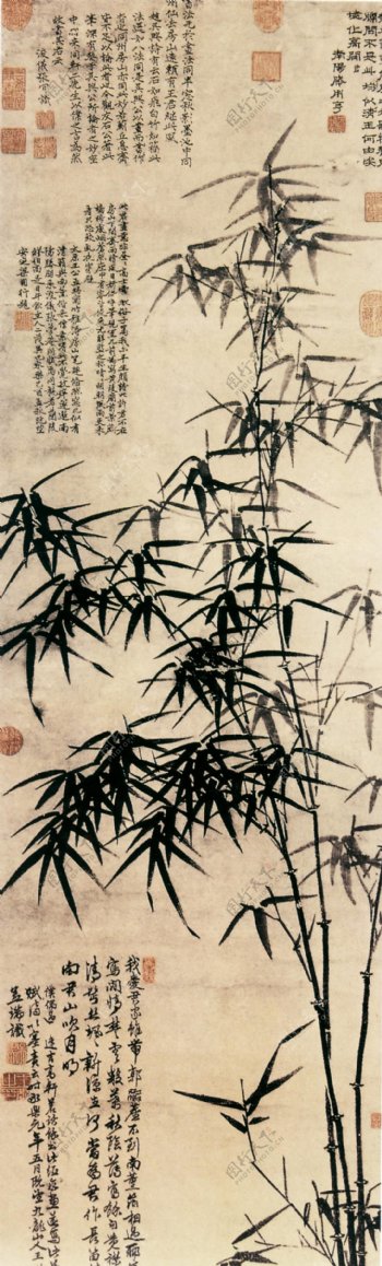 竹子国画