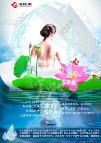 spa水疗养生保健图片