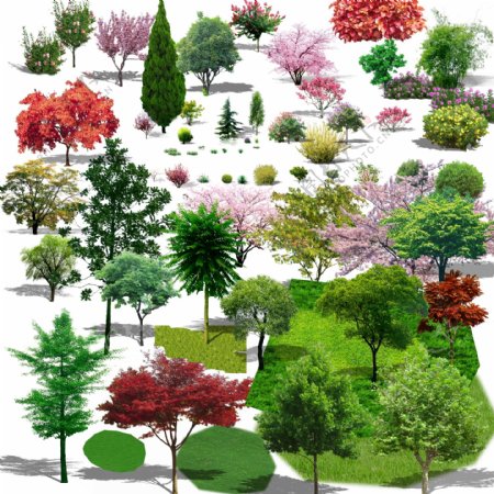 绿化植物素材图片