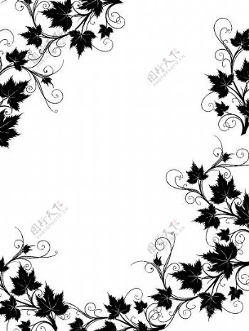 黑色和白色的藤类植物花边边框矢量