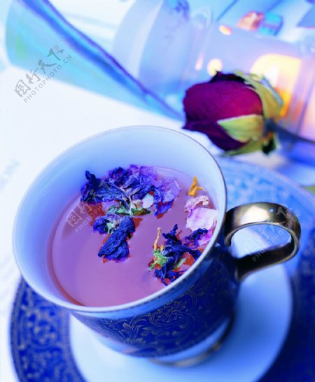 青花瓷杯中的兰花茶