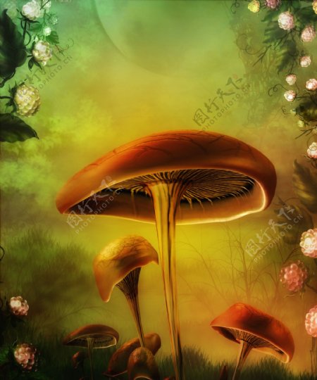 梦幻童话影楼背景蘑菇花朵图片