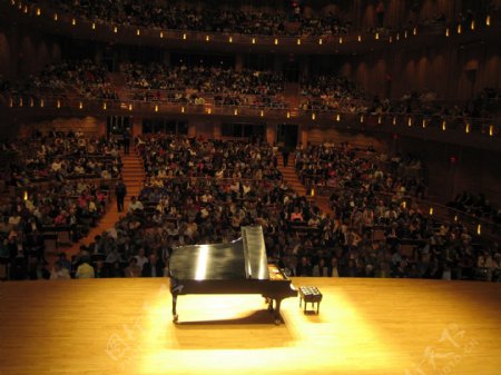 大型音乐会钢琴演奏图片