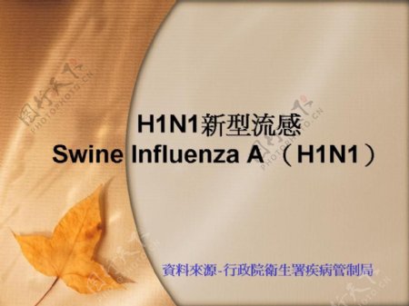 台湾行政院卫生署H1N1新型流感PPT