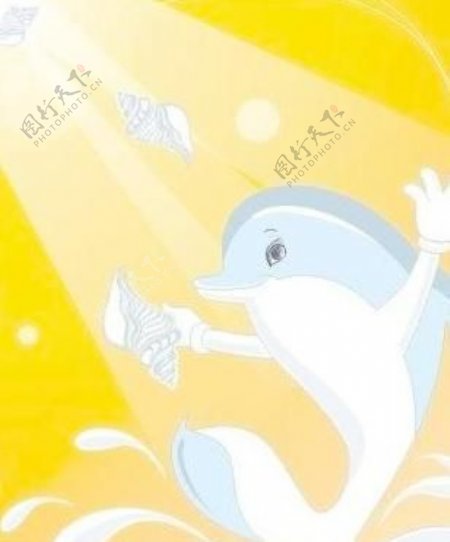 魅力海豚海豚跳水水滴图片
