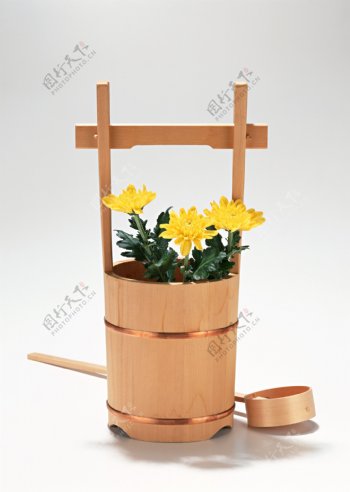 岛国节日风景植物花朵木桶