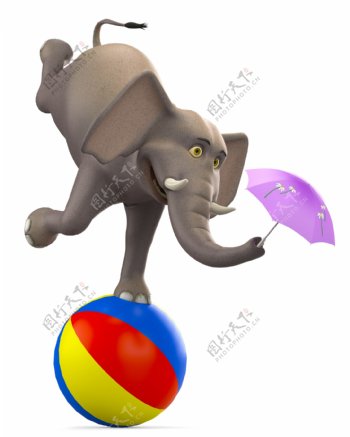 站在皮球上的大象