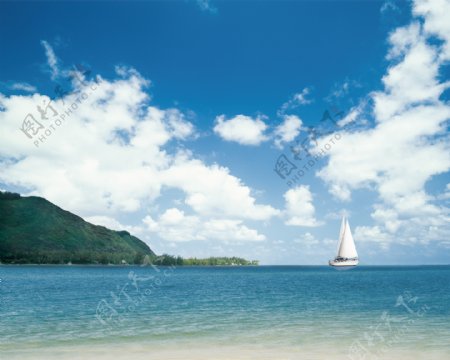 夏日海滩风景椰树图片