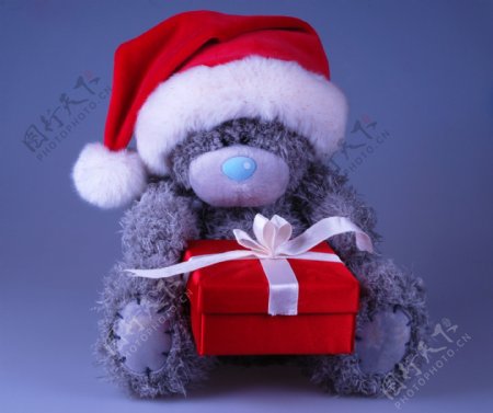 玩具小熊和礼品盒图片
