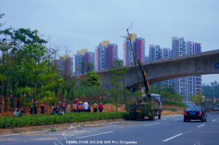 交通建设道路绿化