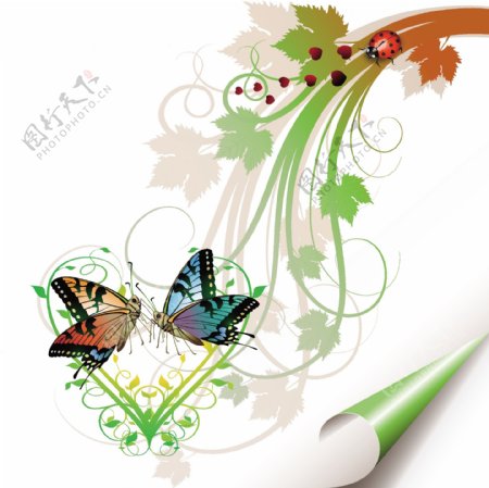 蝴蝶与彩色花纹