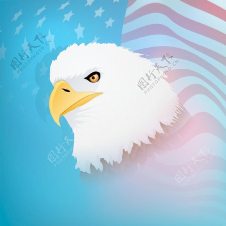 第四七月美国独立日与全国鸟类鹰对国旗的背景在美国国旗的颜色摘要蹩脚的背景