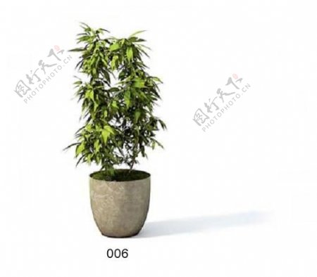植物盆栽室内装饰素材免费下载盆栽3d模型免费下载39