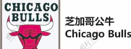 芝加哥公牛chicagobulls图片