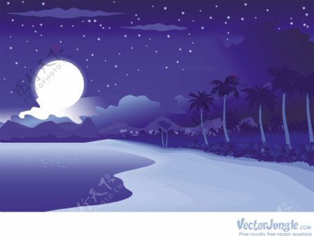 热带夜沙滩矢量插画