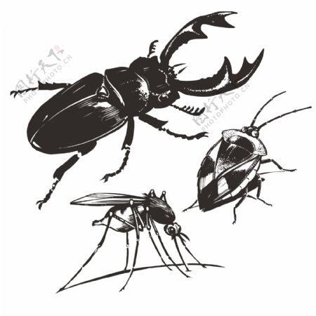 印花矢量图动物昆虫蟑螂小强免费素材