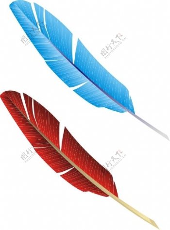 经典蓝红漂亮羽毛矢量图CDR格式