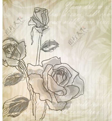 优雅的玫瑰图案背景矢量素材04典雅的图案背景