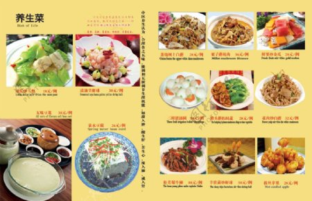 云龙湾商务会馆养生菜菜单psd分层模板10