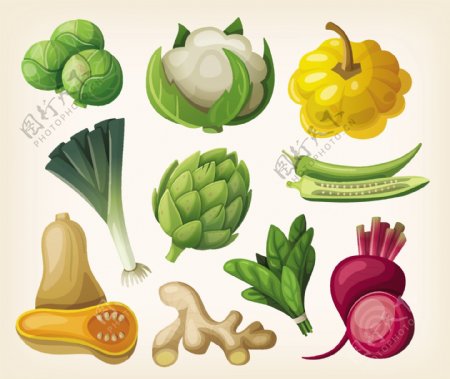 卡通时尚蔬菜矢量图