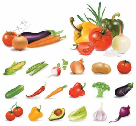 多种蔬菜矢量素材