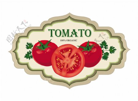老式的番茄标签设计矢量