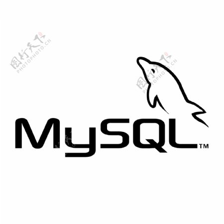 MySQL3
