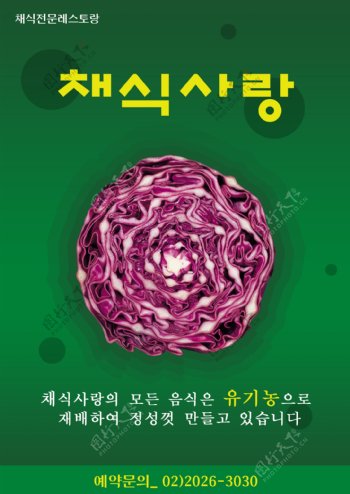 卷心菜韩国海报
