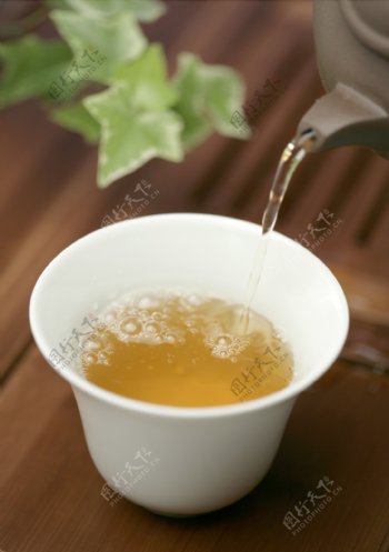 中式饮茶泡茶图片