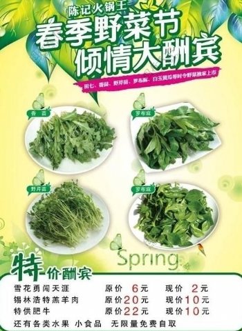 春季野菜节海报图片