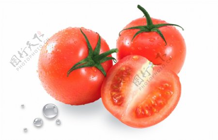 番茄组合西红柿图片